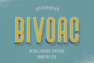 Bivoac: A Strategic Tool for Creative and Professional Expression