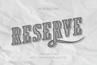 Reserve: A Versatile Object-Based Font for Unique Design